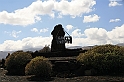 Kanary_2010 291